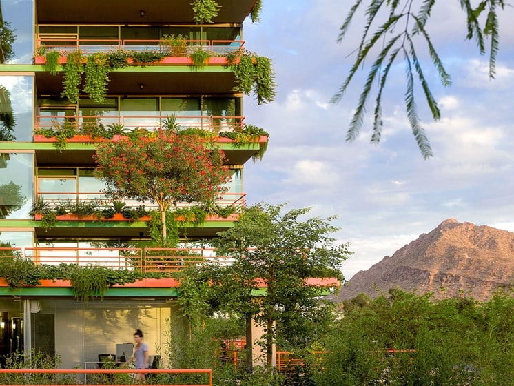 Lush vegetation and vines hanging from the patios of Scottsdale's premier luxury apartment community